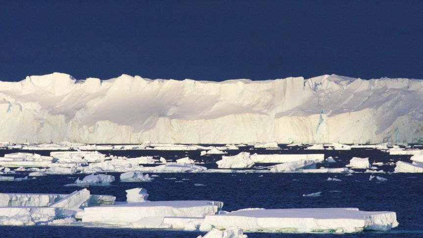 To Establish Massive Antarctic Marine Sanctuaries Protection Team Fails Again