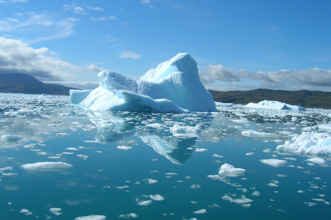 Shrinking Arctic Sea Ice , Examining The Ripple Effects