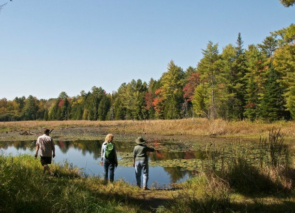 Congress should save protection easement Charge treatment : Publication